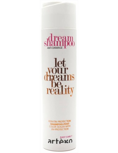 Artègo Easy Care T Dream Shampoo...